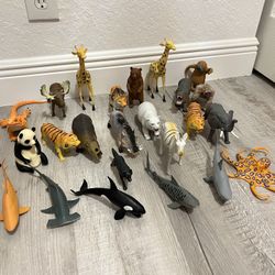 Animals. 🦒🦓 🦌🦍🐅🦈🦑