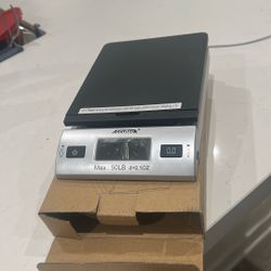 Scale