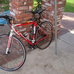 Trek Road Bike