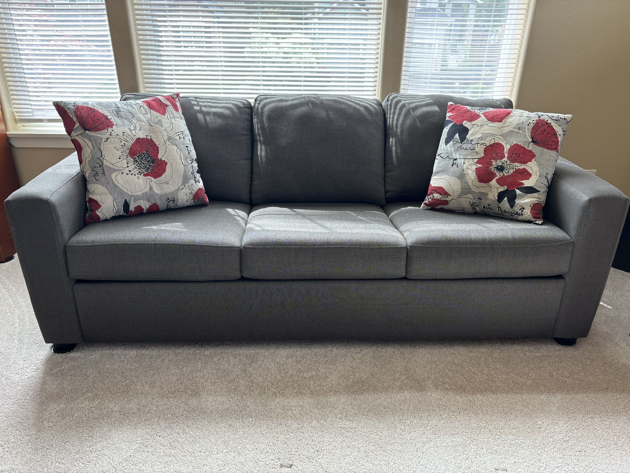 Sleeper Sofa