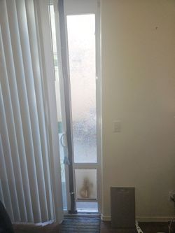 Doggy door