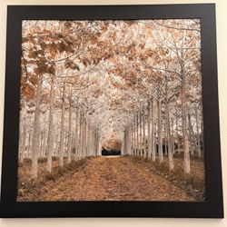 Beautiful Wood Framed Picture Painting 