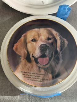 Golden Dog Decorative Plates 