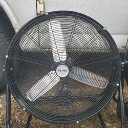 Fan