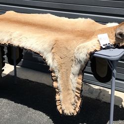 MOUNTAIN LION RUG