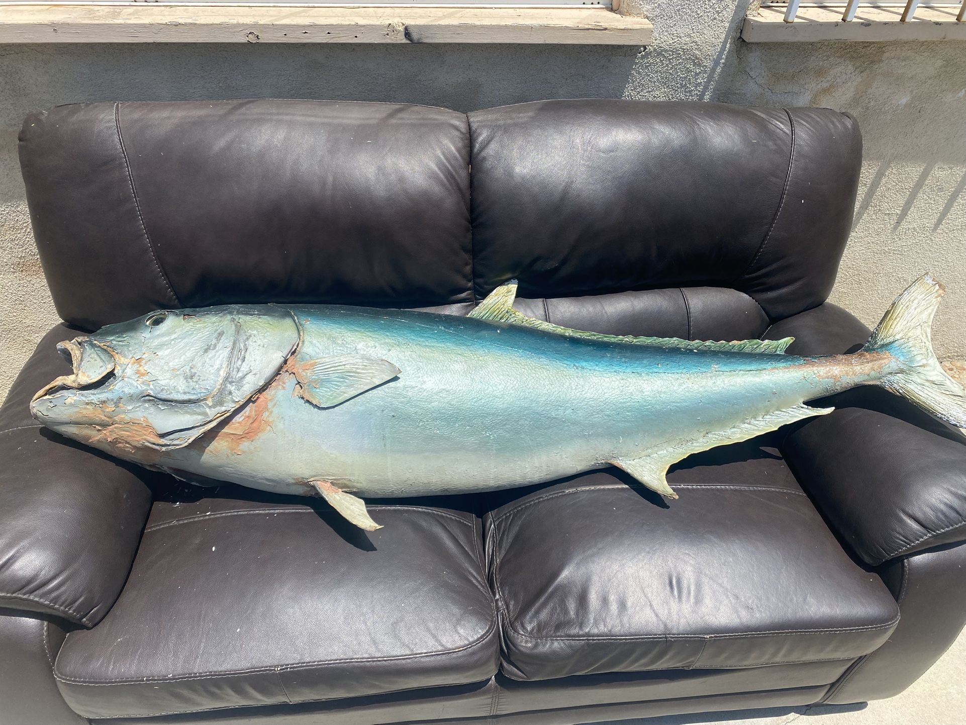 FISH WALL MOUNT