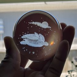 Round Etched Turtle Glass Paper Weight