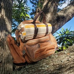 Brand New Picnic Plus Tandoor 4 Person  Deluxe Picnic Backpack 