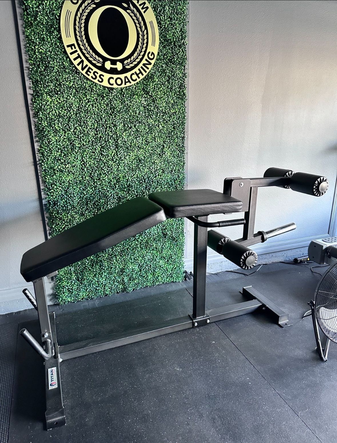 Leg Curl And Extension