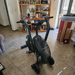 Rogue Echo Bike V3 + Turf Tire + Handle + Phone Holder