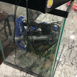 10 Gallon Fish tank, Gravel And Decor