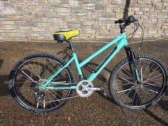 Nishiki Mountain Bike Teal