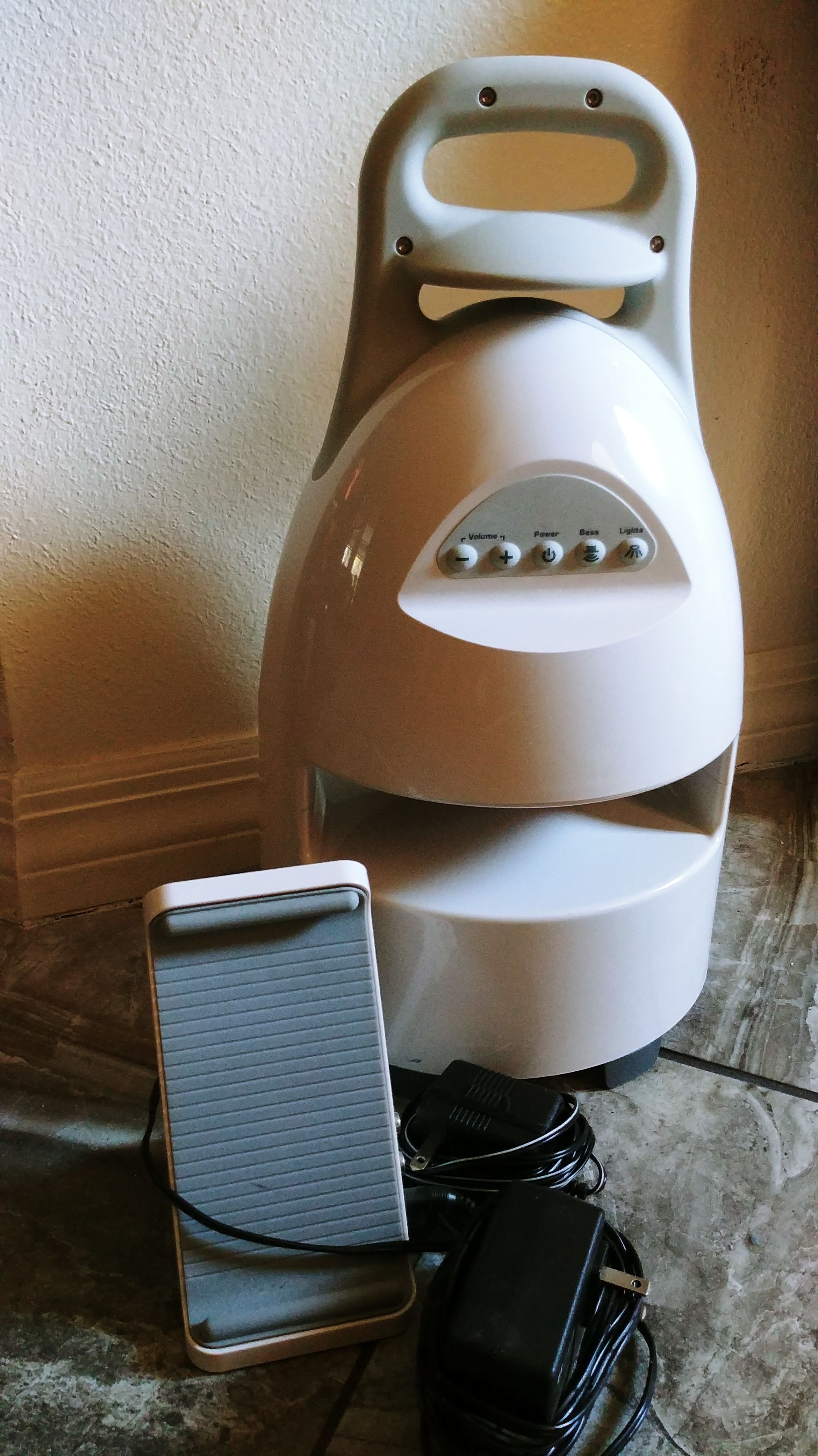 Brookstone wireless outdoor speaker
