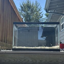 Fish Tank