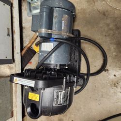 Pacer 2hp Pump