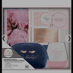The happy planner "be my bridesmaid kit"