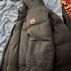 Canada Goose