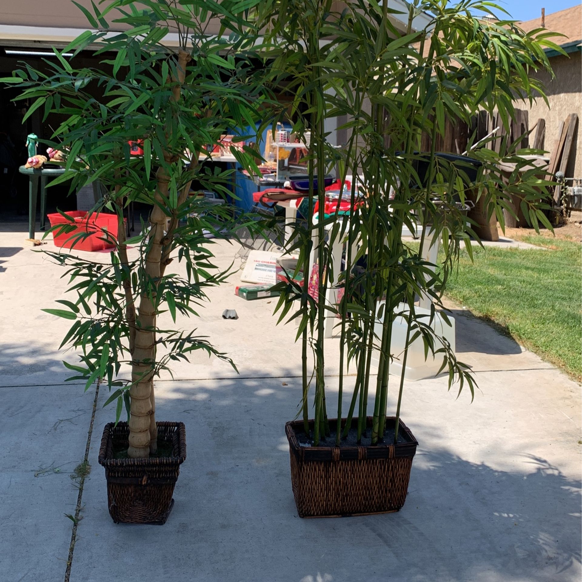 Decorative Indoor Trees for Sale in Colton, CA OfferUp