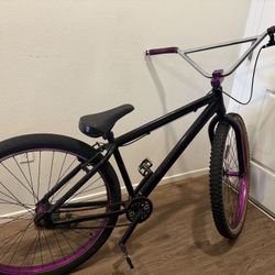 SE 29 Inch Bmx Bike
