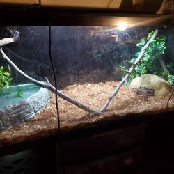 reptile/fish tank