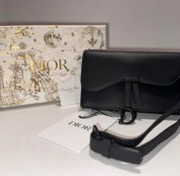 Dior Saddle pouch