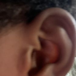 Ear