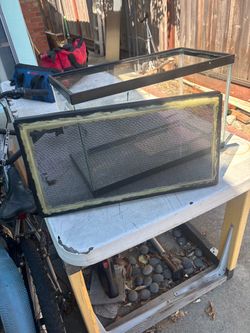 FREE: Glass Reptile Tank with Screen Lid