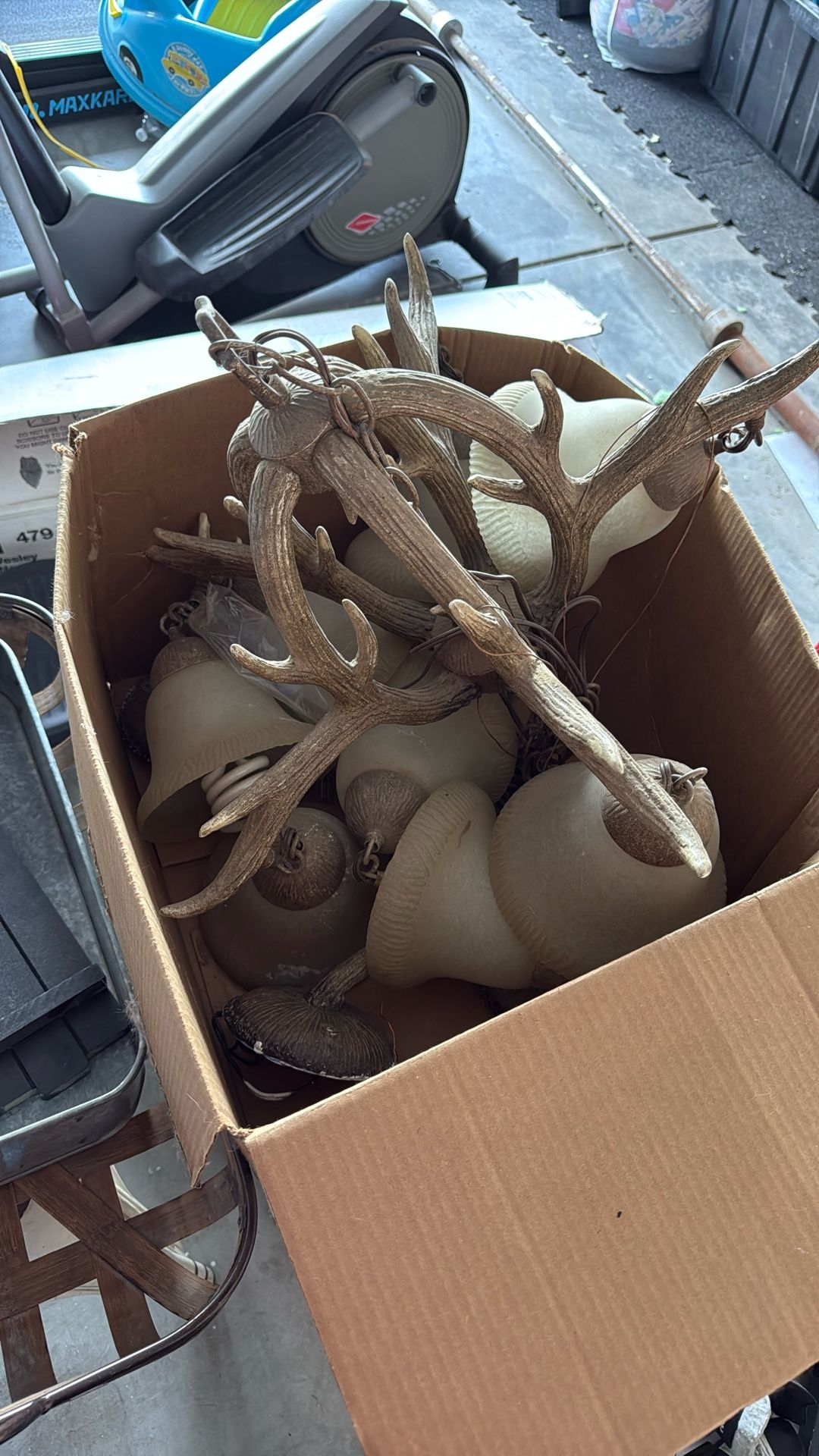 Antler light fixture