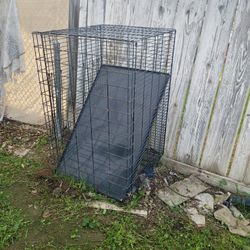 Large Cage With Cover/ Jaula Grande Con Tapa