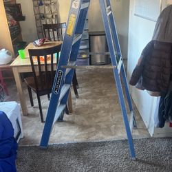 6ft Ladder