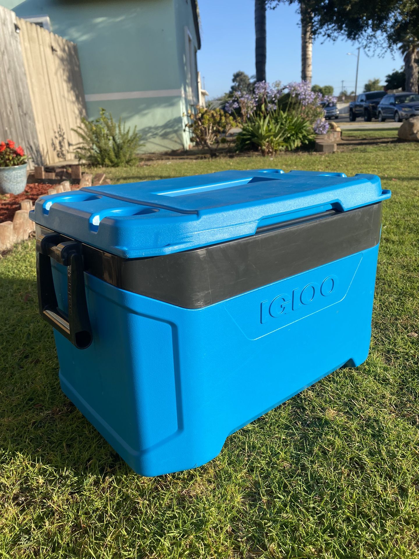 Igloo Cooler