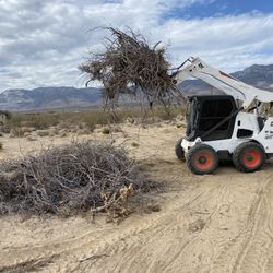Bobcat 🚜