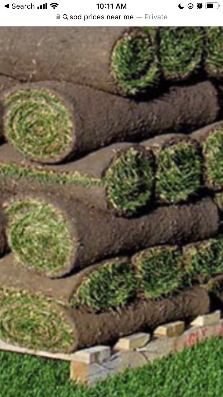 Fresh Sod 