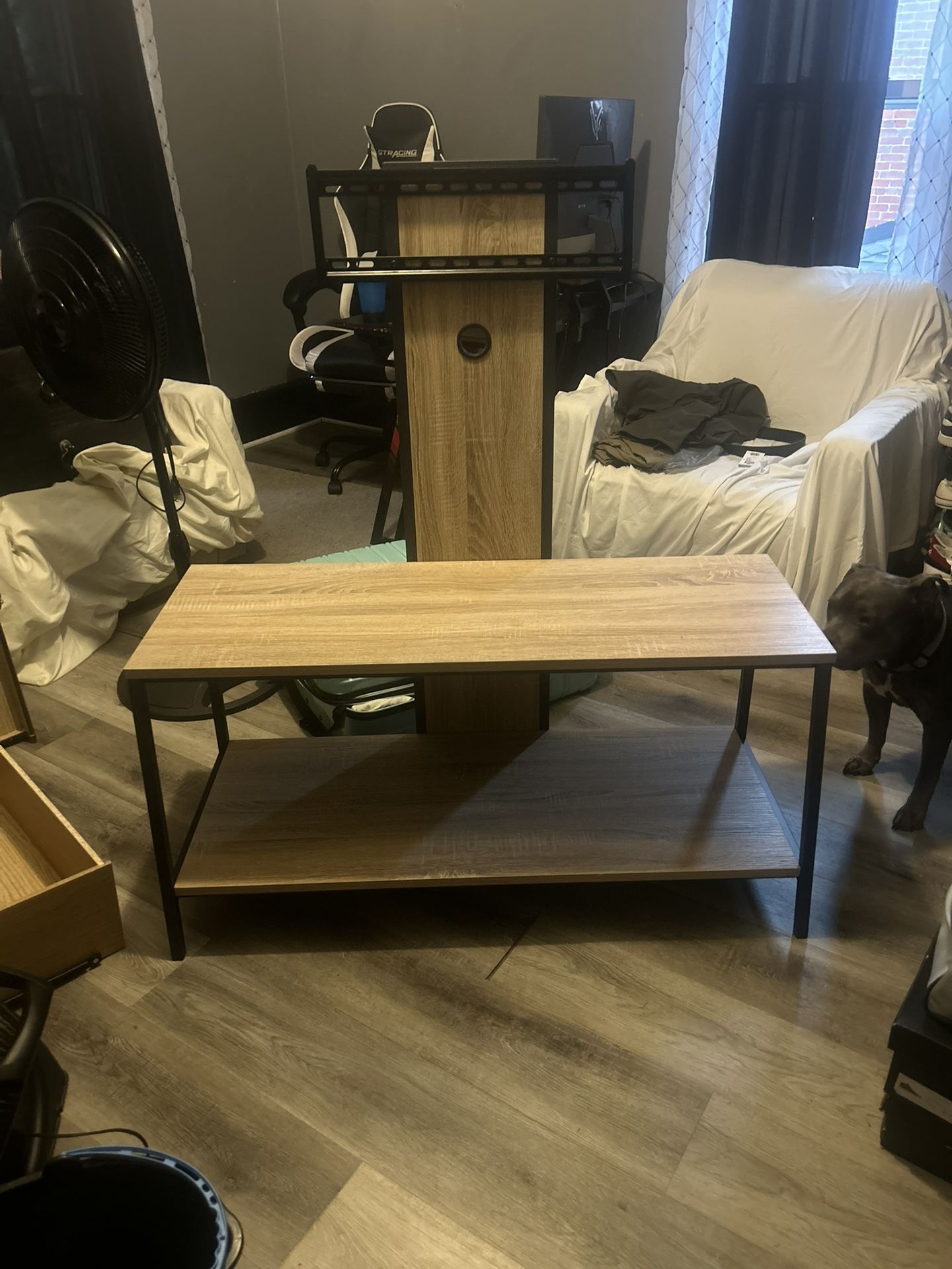 Entertainment  Center