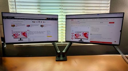 **DUAL LG 24” Monitors w/ VIVO Mount**