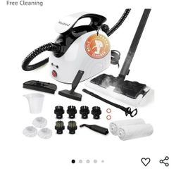 Waitbird Steamer New