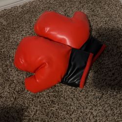Little Boxing Gloves 5 Bucks