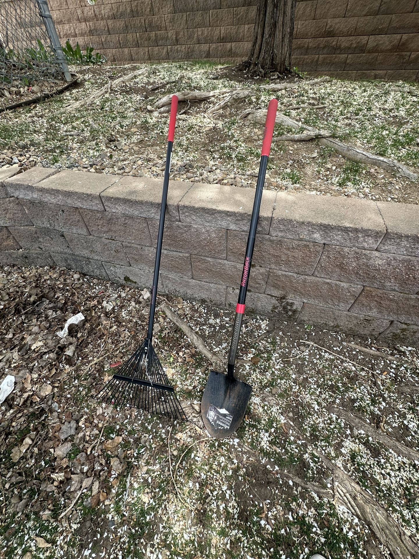 Razorback Spade And Rake