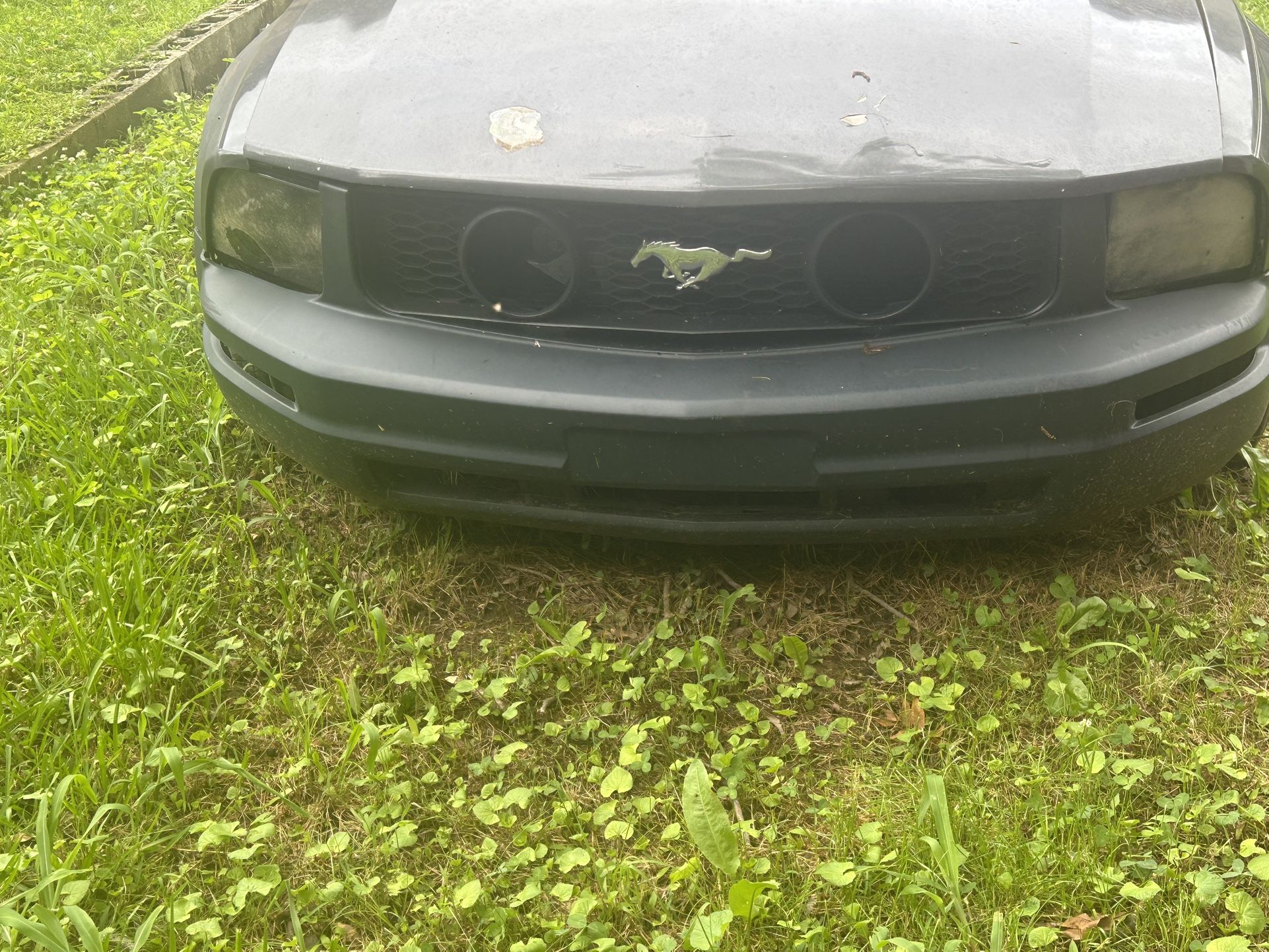 05-09 Mustang Hood And Bumper