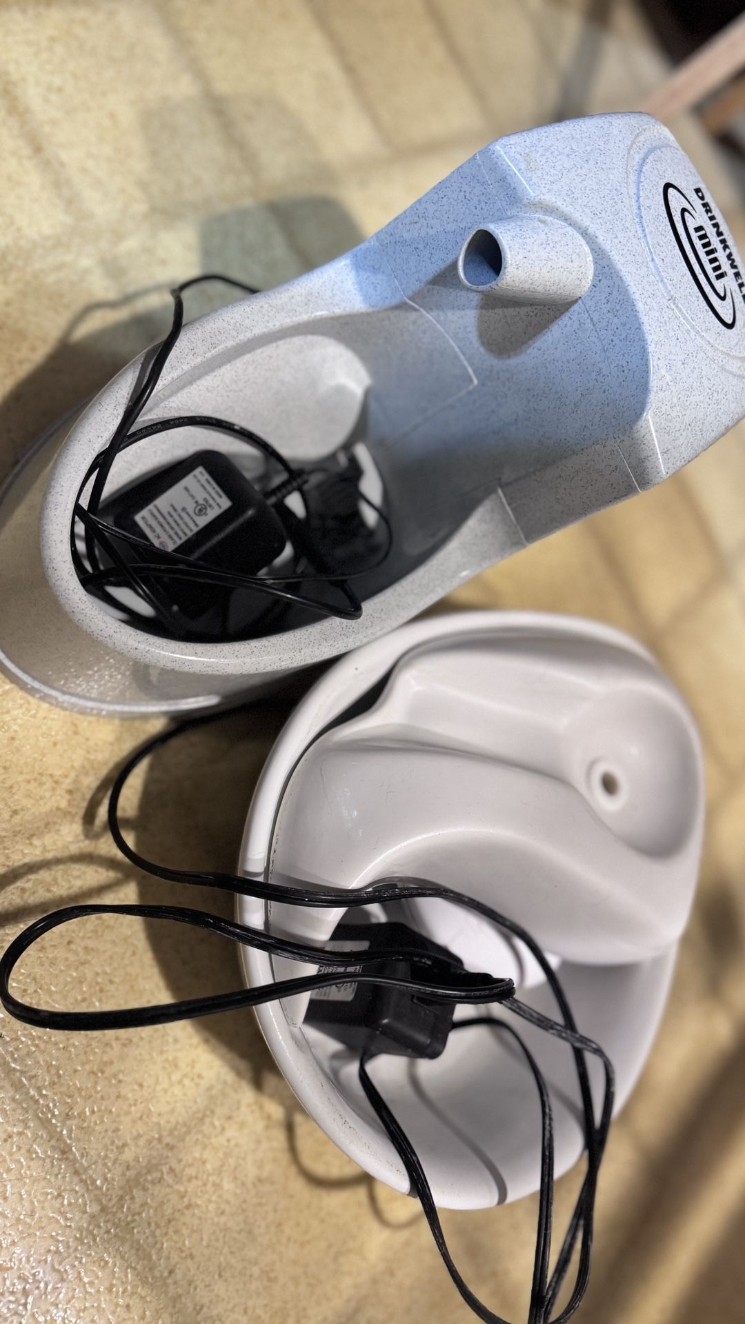 Cat drinking fountain