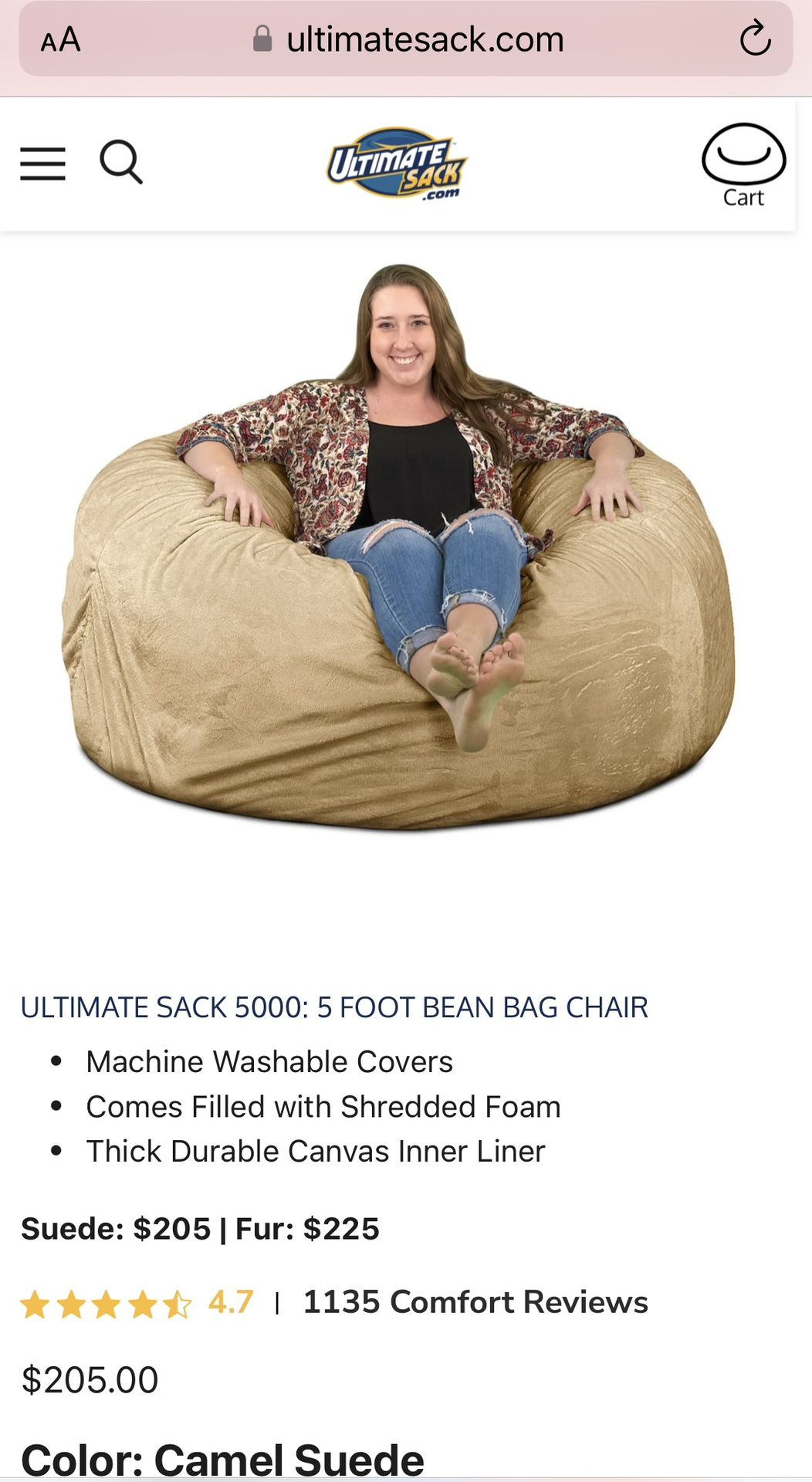 Ultimate Sack Bean Bag (huge!)