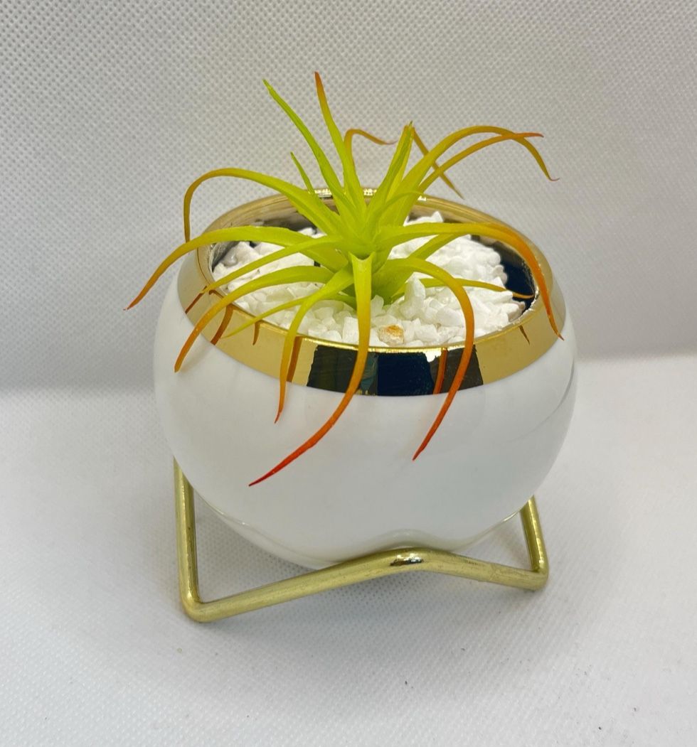 🌸 Glazed Ceramic Planter with Golden Stand Comes in a white box– Elegant Gift Pot (5 Colors Available)