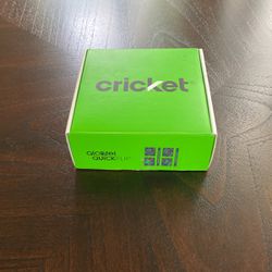 Cricket Alcatel Quick Flip Phone