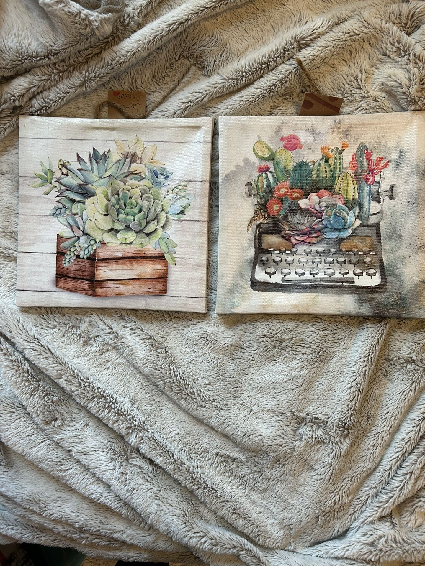 NEW Home Decor Succulents Canvas Wall Art, Expressions Artwork, 8.5”Canvas Print