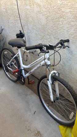 Mountain bike