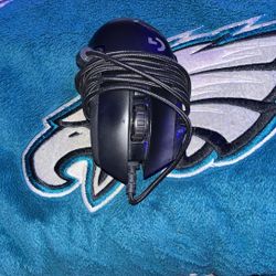 Logitech G502 Lightspeed Wired/Wireless Gaming Mouse. (I don’t have the wireless piece.)