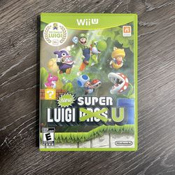 New Super Luigi U (Nintendo Wii U, 2013)