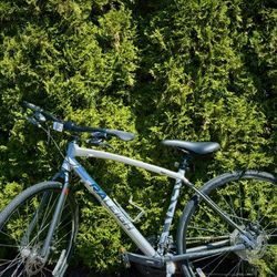Bike    Raleigh, Cadent Hybrid, Adult Small