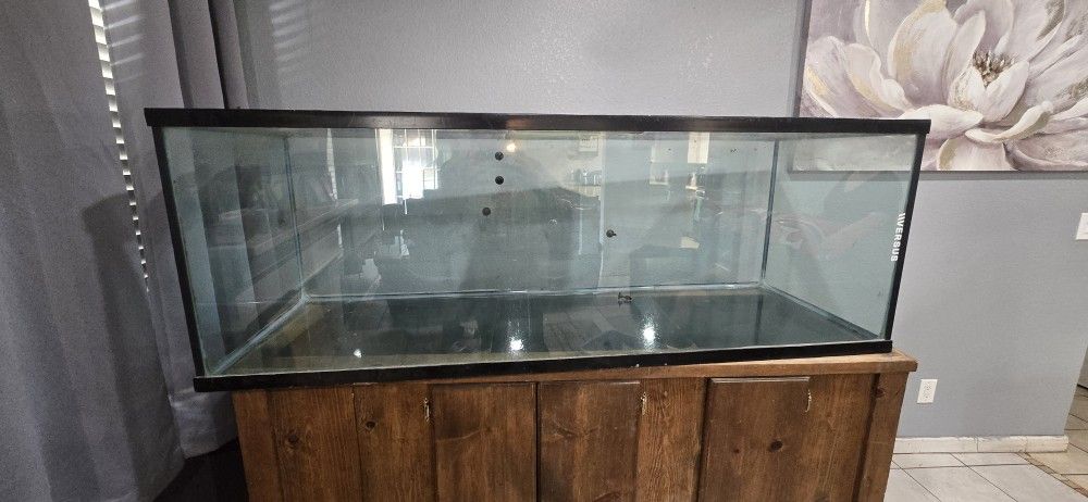 Fish Tank