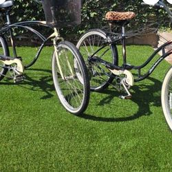 Schwinn cruisers